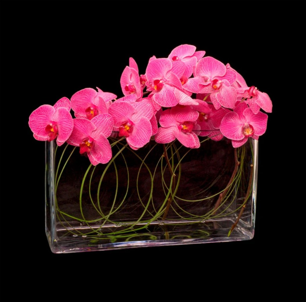 Artistic collection5